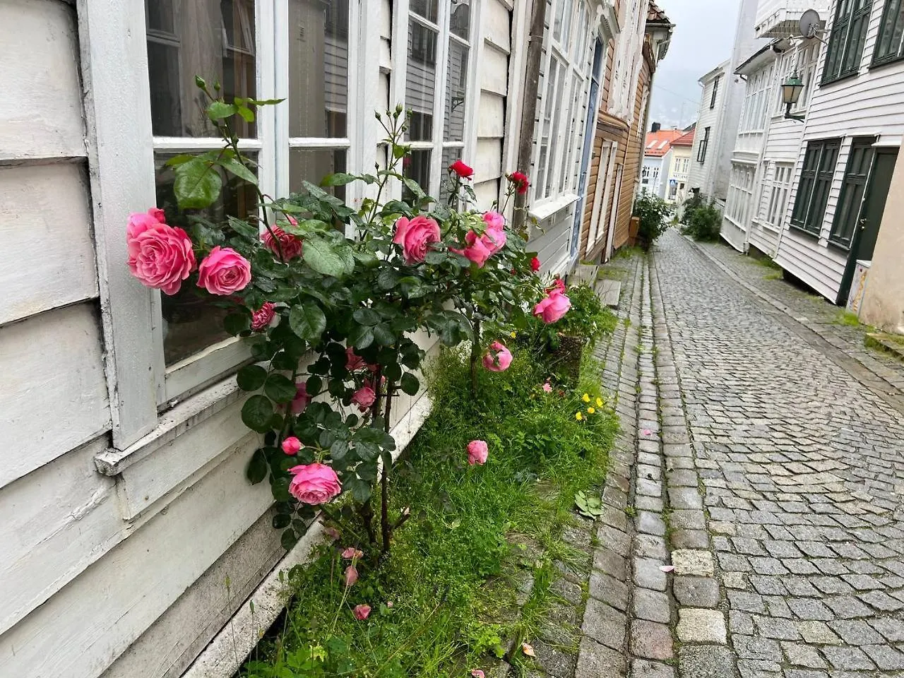 Cosy Bedroom By The City Centre Bergen Norway